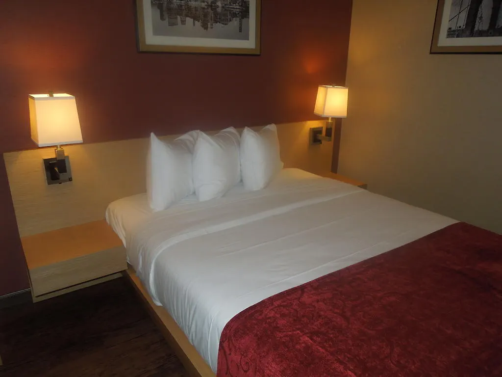 Hotel Luxe Ny New York 2*,  United States